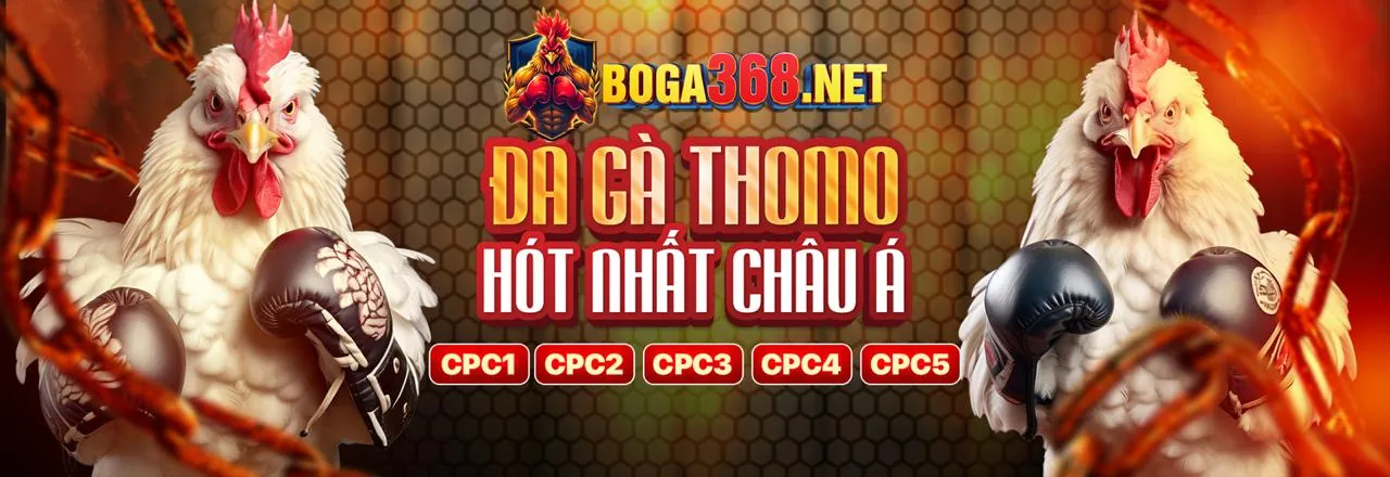 Phương Thức Thanh Toán An Toàn tại ava8888