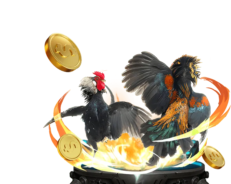 Mẹo và chiến lược chơi đá gà ava8888